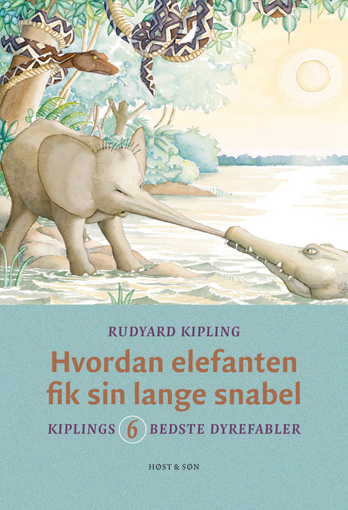 Forside billede